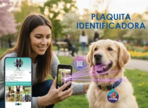 Screenshot_5-768x562