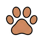 mascotas